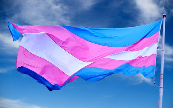 Imagem do céu com uma bandeira em movimento, contendo duas listras azuis, duas listras cor-de-rosa e uma faixa central branca.